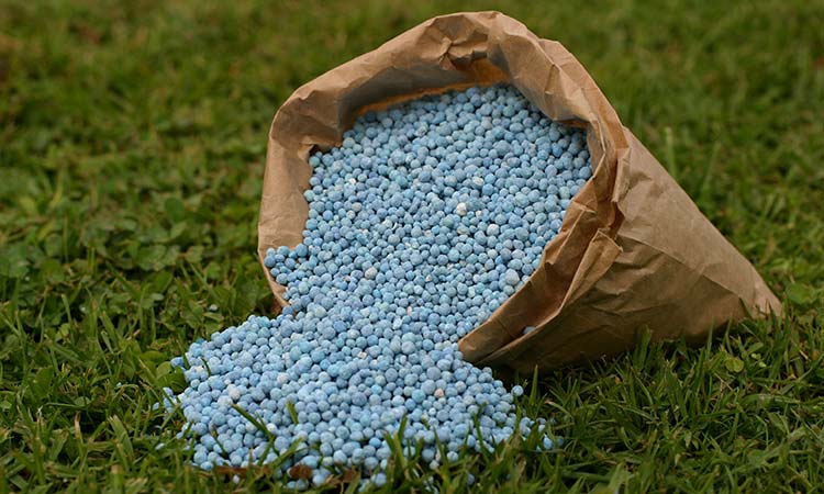 La fertilización debe compensar los efectos de una campaña anterior muy extractiva