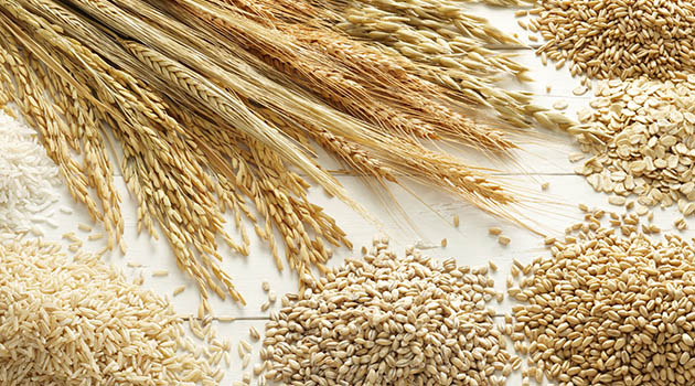 El esperado informe USDA, pese a que ha sido plano, corrige a la baja el precio del trigo.