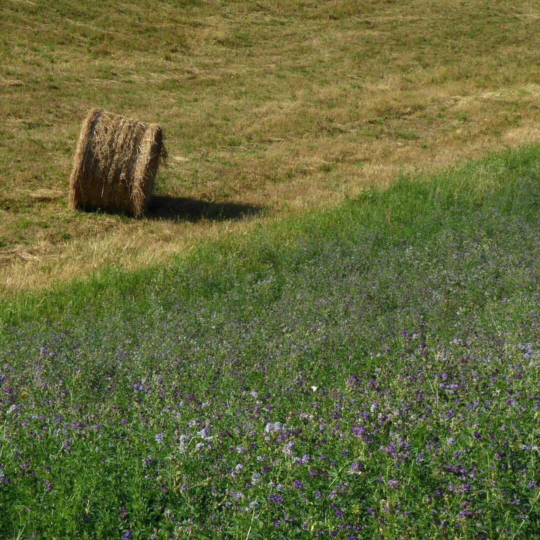 pagarau country 3619447 1920